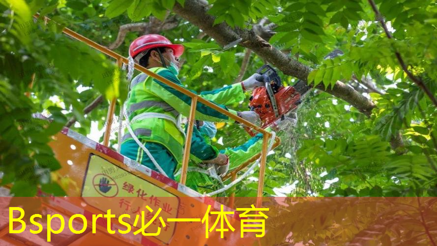平价碳素网球拍初学者