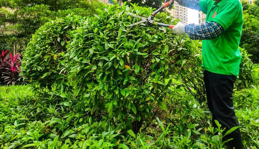网球拍穿线要多长线才能穿
