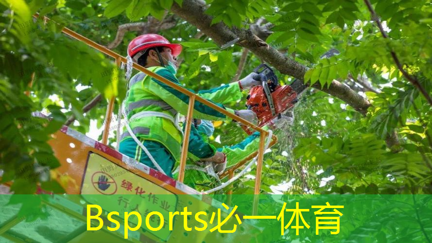 2米宽人造草坪定制型